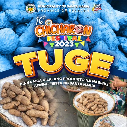 Tuge Festival Food