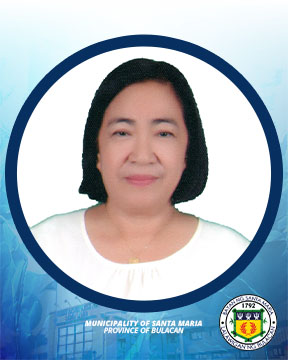 Commission on Elections (COMELEC)