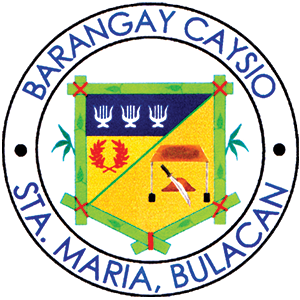 Caysio Logo