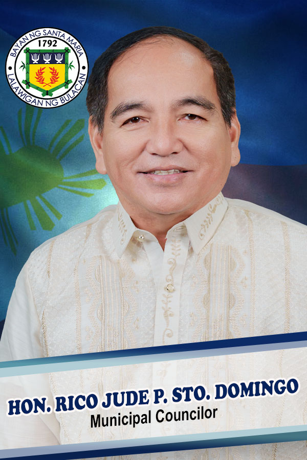Official portrait of Hon. Rico Jude P. Sto. Domingo, Municipal Councilor