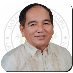 Official portrait of Hon. Rico Jude P. Sto. Domingo, Municipal Councilor
